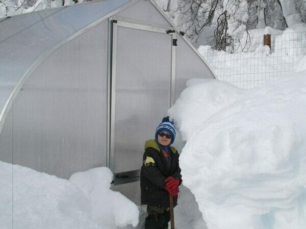 The Hoklartherm Riga 2s Greenhouse 7.8x7 in winter with loads of snow