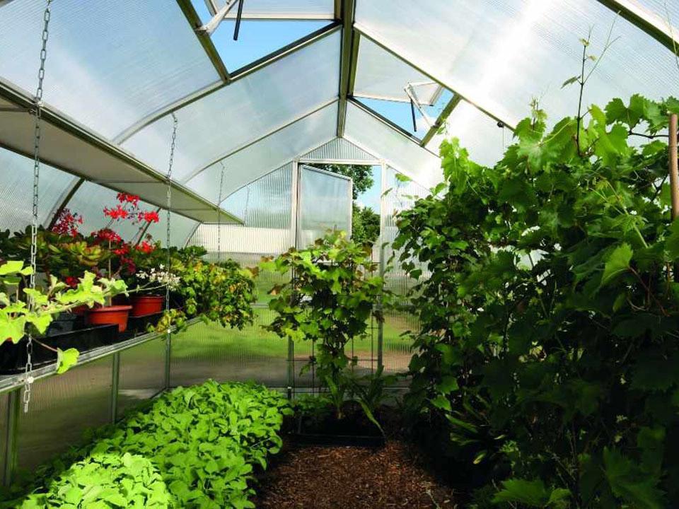 Inside of a Riga Greenhouse with plants and shelves