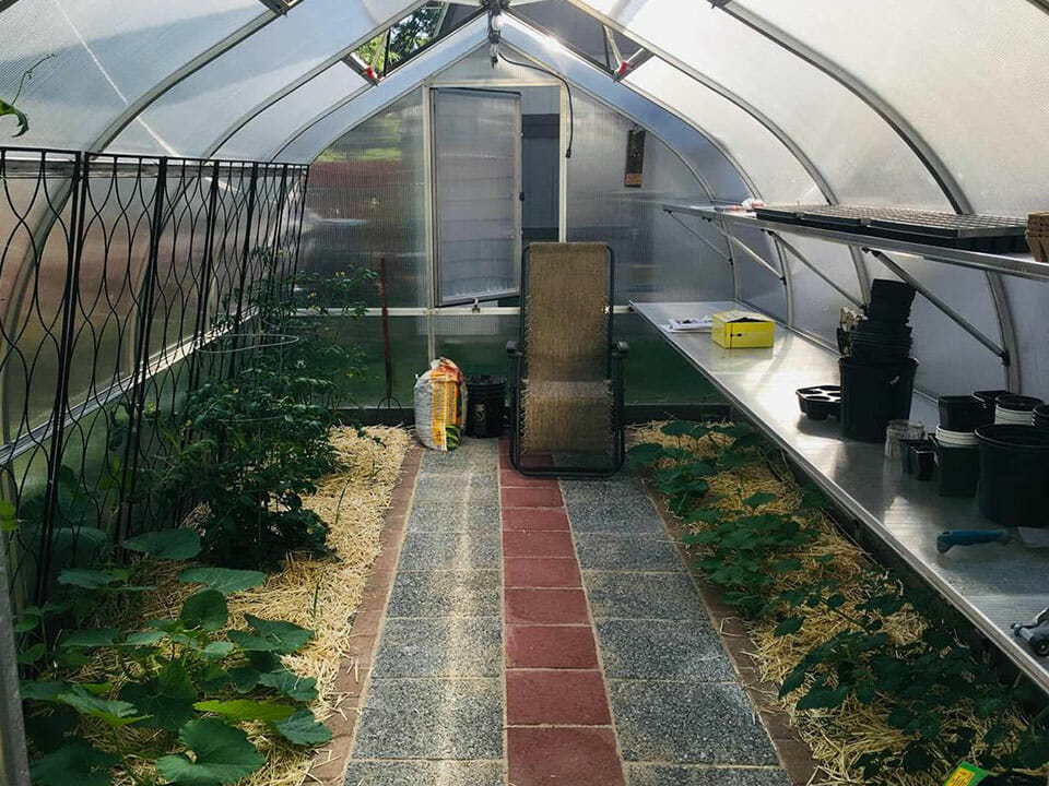 Shelving For Riga Greenhouses, Best Greenhouse Shelving
