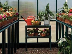 Rion Two Tier Staging Bench in the center with plants