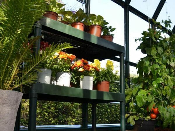 Rion Two Tier Staging Bench - with plants