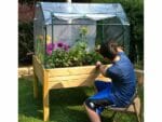 Fully set up Riverstone Eden Mini Greenhouse with a boy sitting by the greenhouse