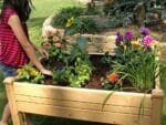 Riverstone Eden Mini Greenhouse - Growing bed -  a girl standing by the growing bed