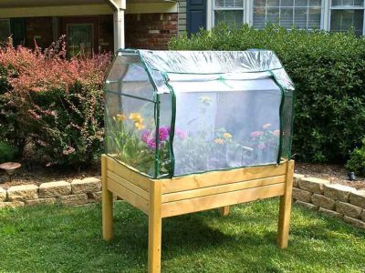 Full view of Riverstone Eden Mini Greenhouse - in a garden