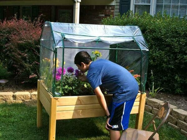 Fully set up Riverstone Eden Mini Greenhouse with a boy looking at the greenhouse