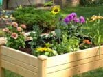 Riverstone Eden Mini Greenhouse - growing bed with plants and flowers