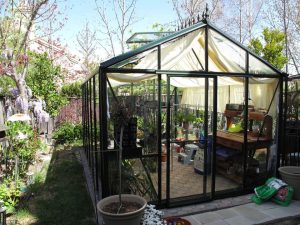 Front view of the Janssens Royal Victorian VI34 Greenhouse 10ft x 15ft