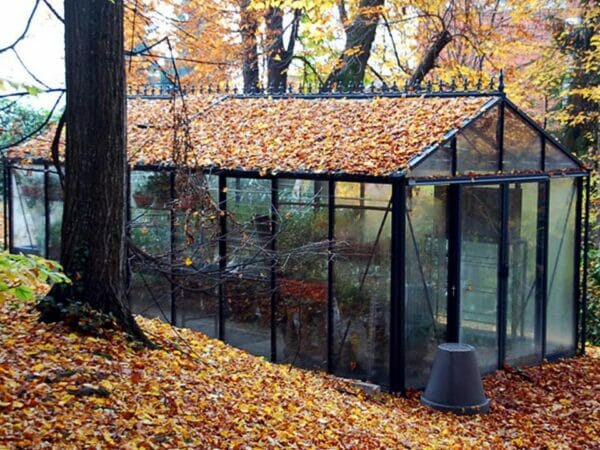 Janssens Royal Victorian VI36 Greenhouse 10ft x 20ft in fall with foliage on roof and ground