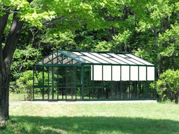 Side view of the Janssens Royal Victorian VI46 Greenhouse 13ft x 20ft