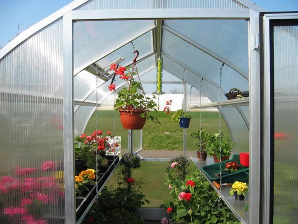 Interior of a small greenhouse with plenty of shelves and hanging plants to maximize space