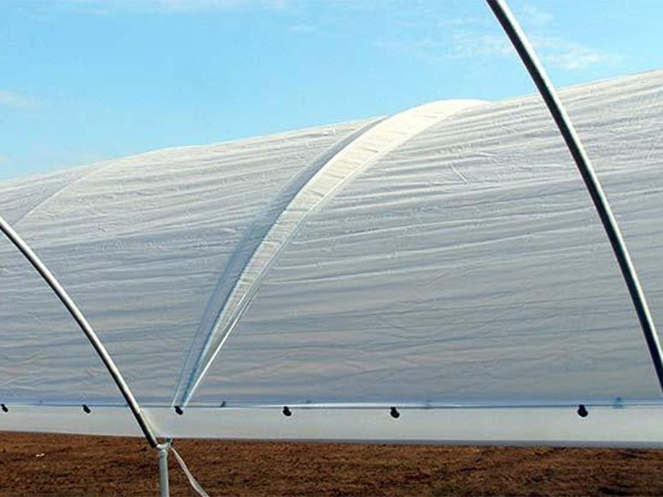 Polyethylene cover on a greenhouse
