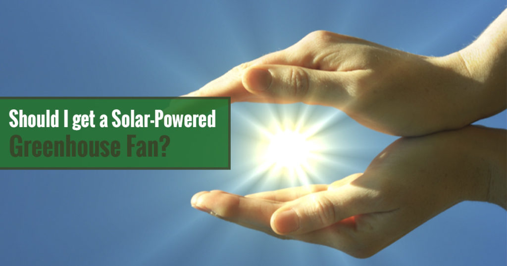 Should I get a Solar-Powered Greenhouse Fan?