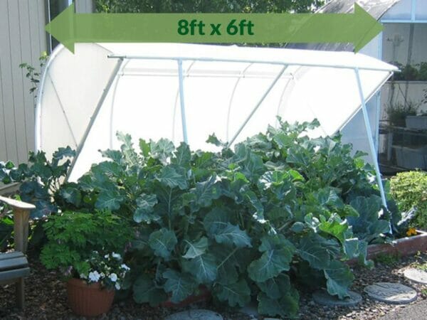 Solexx 8ft x 6ft Deluxe Cold Frame G-80 - open - with plants - in a garden - arrow on top showing dimensions