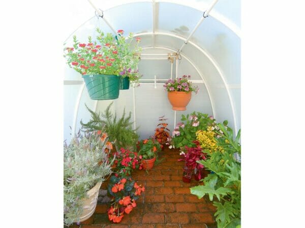 Early Bloomer Greenhouse 8ft by 8ft interior with colorful flowers blooming