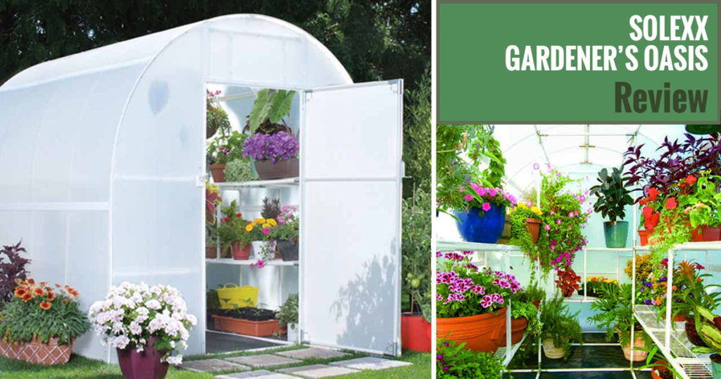 Solexx Gardeners Oasis Greenhouse Review