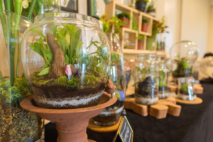 Aquarium as a tabletop greenhouse for your house