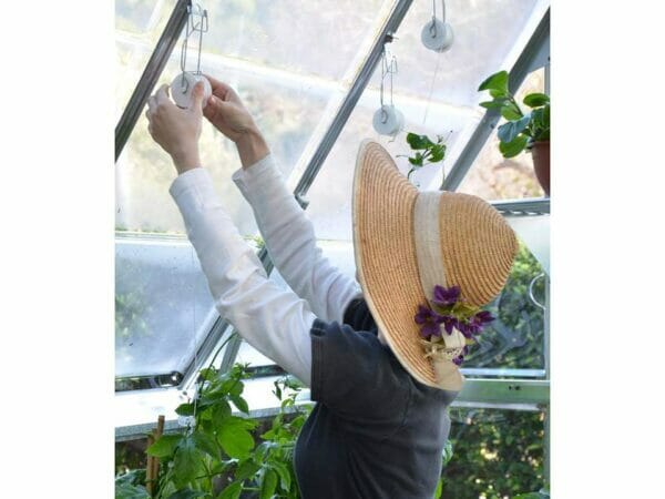 Trellising Kit Pro for the Palram and Rion Greenhouses -  a woman arranging the trellis