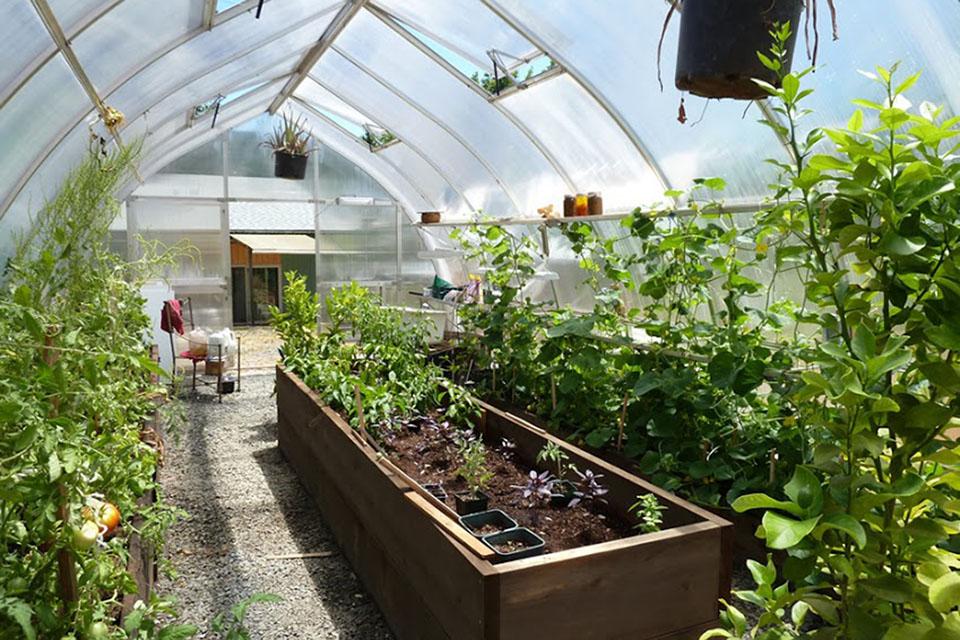 Gothic arch looks is a tipped Quonset greenhouse