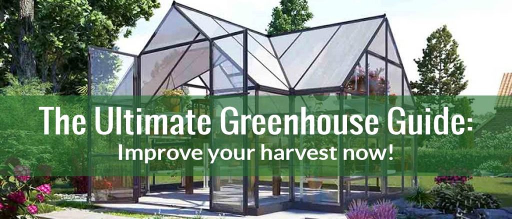 The Ultimate Greenhouse Guide: Improve Your Harvest Now!