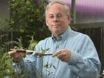 A man using VegiBee Garden Rechargeable Pollinator