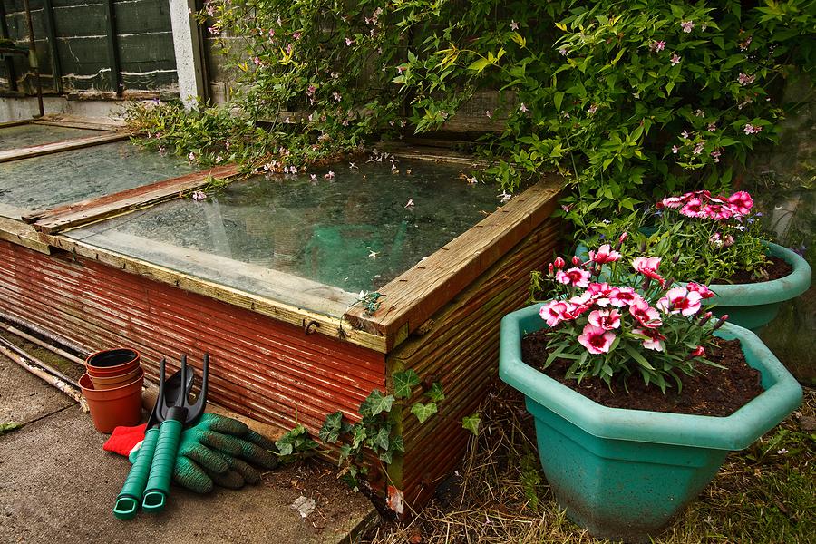 Simple wooden cold frame with planters and gardening tools next to it