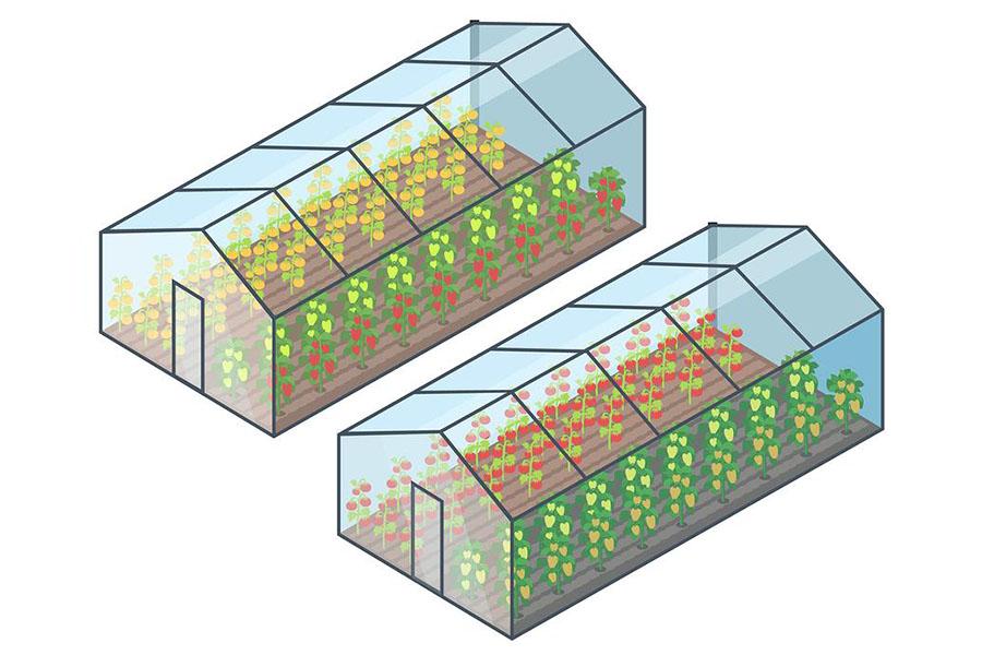 Graphic shows the concept of a glass-to-ground greenhouse with a wooden frame
