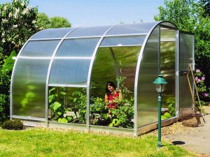 Open doors and sides of Arcus greenhouse with a woman gardening inside