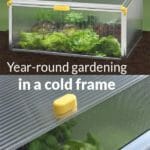 Closed Cold Frame at the top and insect net/double layer window at the bottom with text: BioStar 1000 - Year-round gardening in a cold frame