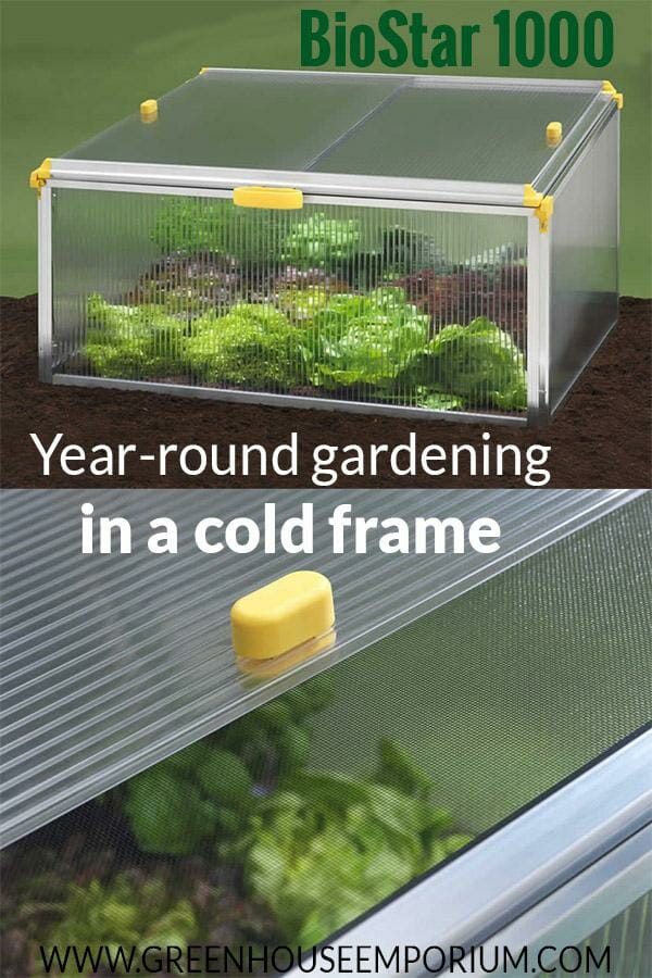 Juwel BioStar 1000 Premium Cold Frame 3ft X 2ft Greenhouse Emporium