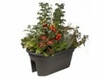 Black ELHO Bridge Planter with plants