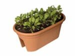 Light Terracotta ELHO Bridge Planter with Cover