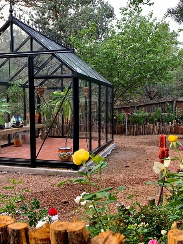 Where Is The Best Place To Set Up A Greenhouse?