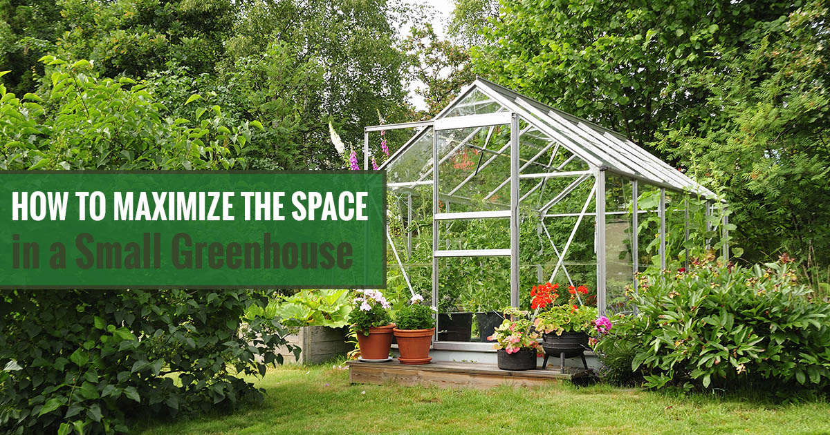 Small Greenhouse - How to Maximize Your Space