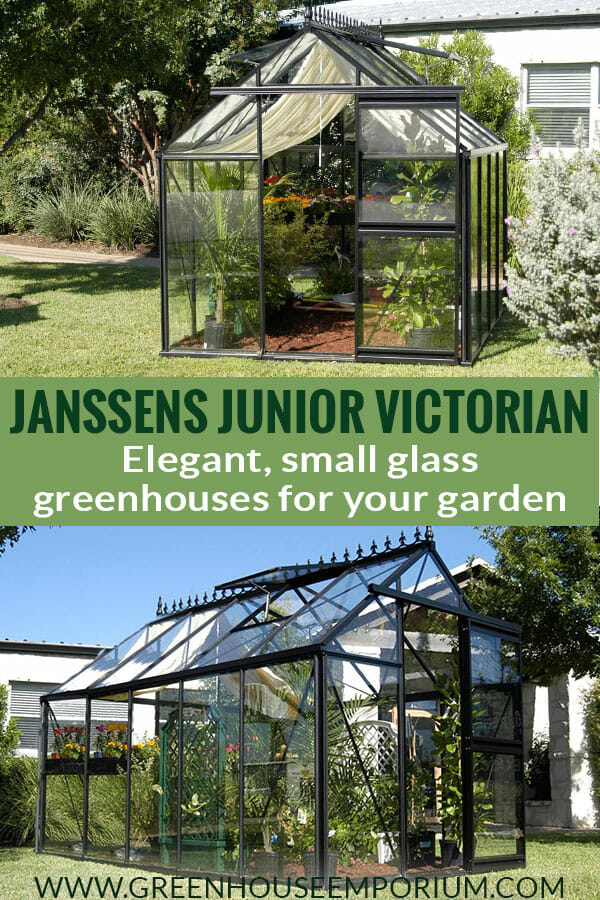 Two medium-sized glass greenhouses with a black frame and the text in middle: Janssens Junior Victorian - Elegant, small glass greenhouses for your garden