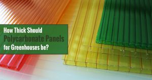 Various Polycarbonate panels of diverse thicknesses and the text: How Thick Should Polycarbonate Panels for Greenhouse be?
