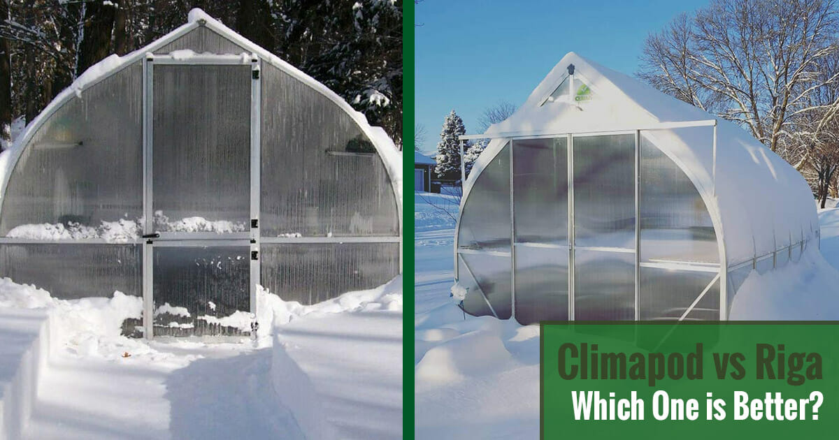 Two Gothic-Arched Greenhouses side-by-side with snow around them and the text: Climapod vs Riga - Which one is better
