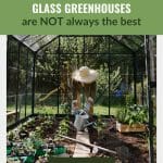 Woman watering plants in glass greenhouse with the text: The Unveiled Truth - Glass Greenhouses are NOT always the best