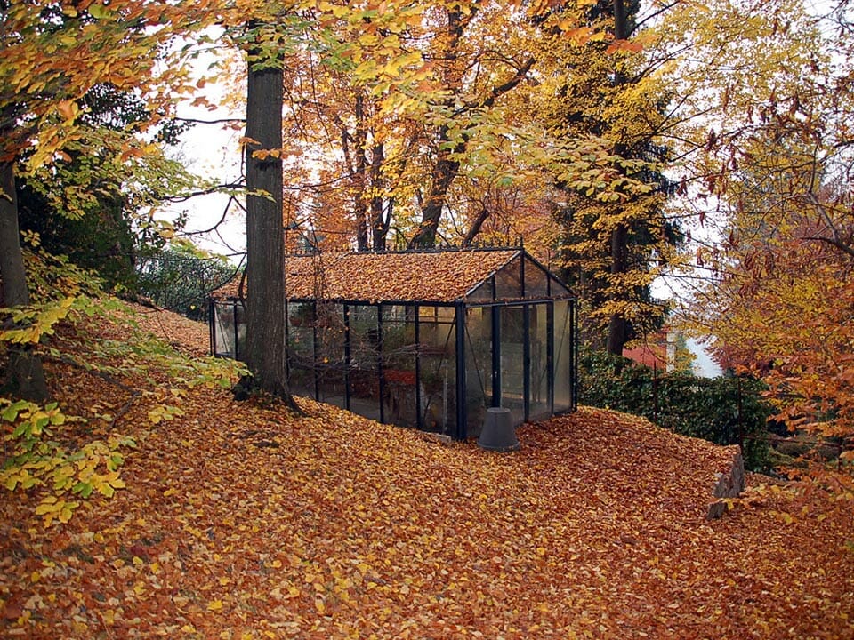 Glass greenhouse in fall with foliage on top