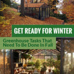 Greenhouses in fall from outside and inside with the text: Get ready for winter - Greenhouse tasks that need to be done in fall