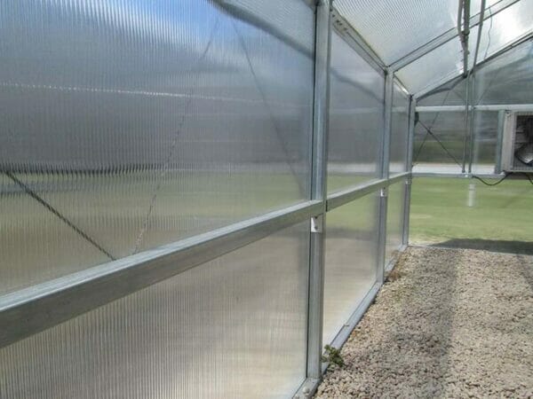 RSI Educational Greenhouse Polycarbonate Walls, interior view of greenhouse panels