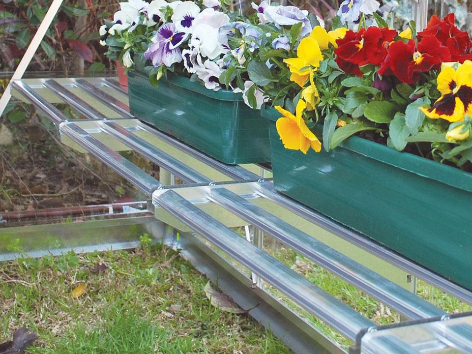 Clean aluminum greenhouse shelves with flowering plants in planters