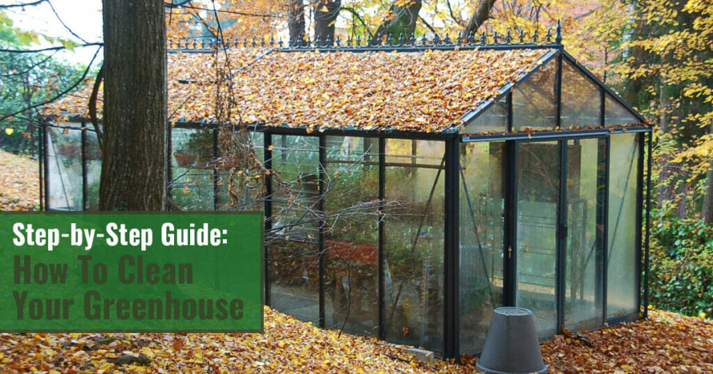 How to Grow Potatoes in a Greenhouse Greenhouse Emporium