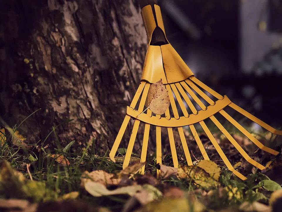  Einstellung im Freien, die einen gelben Rechen und Blätter vor einem Baum zeigt