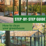Victorian greenhouse with text in green "step-by-step guide How to Clean your Greenhouse"