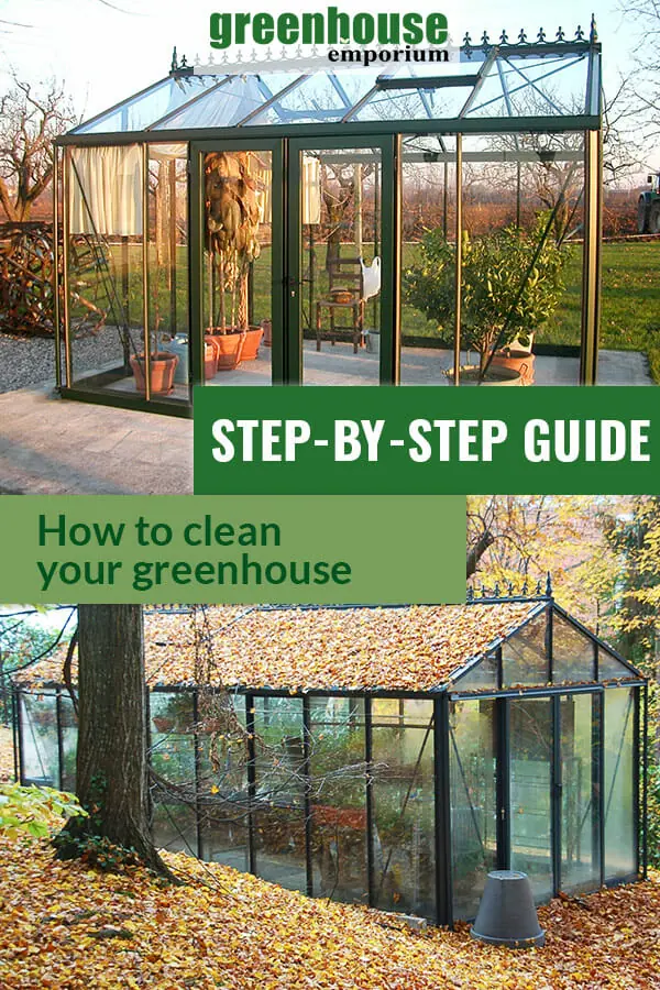Victorian växthus med text i grönt "steg-för-steg guide Hur man rengör ditt växthus"