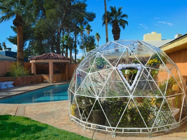 Rear view of geodesic dome with clear vinyl cover and steel frame, open vent with optional bug screen, plants and lighting in interior, set on stone pattern concrete with pool in background