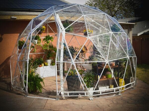 Front of geodesic dome, clear vinyl cover, zippered door open, on stone pavers with plants and shelving in interior