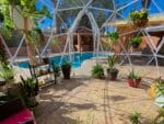 Interior view of geodesic dome, plants in interior, pool in background