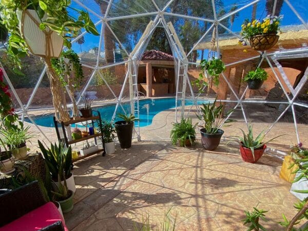Interior view of geodesic dome, plants in interior, pool in background