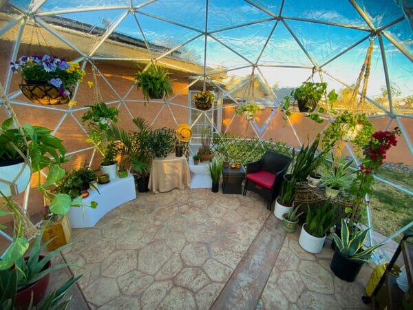 Internal view of geodesic dome, stone flooring, plants in interior